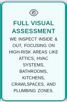 screen shot 2026 02 17 at 11.58.25 am